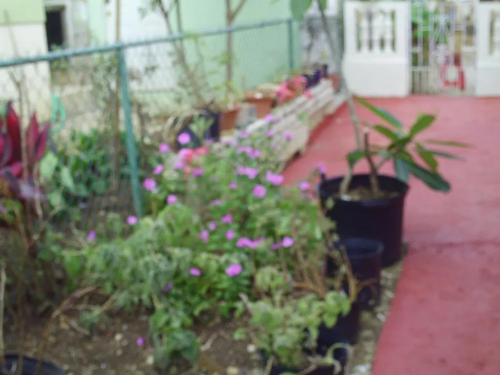 Lemarida Suites سانت بيتير فندق