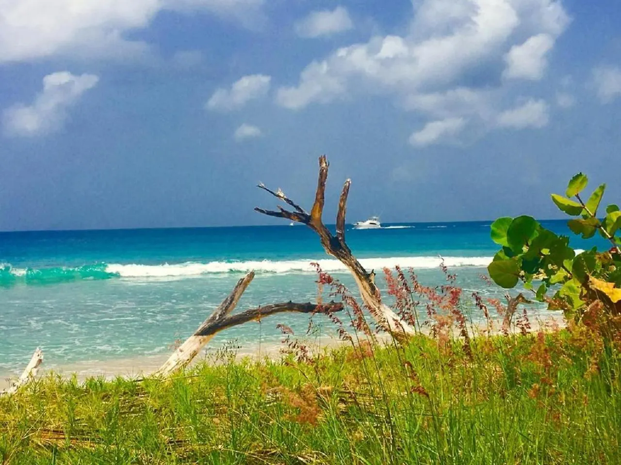 Lemarida Suites Saint Peter 3*,  Barbados
